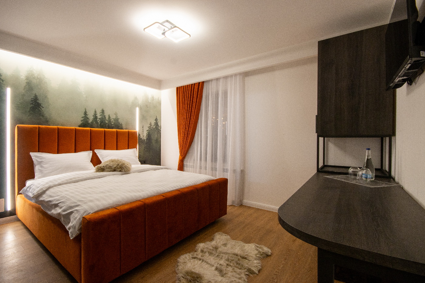 Cazare Apartament Bucovina